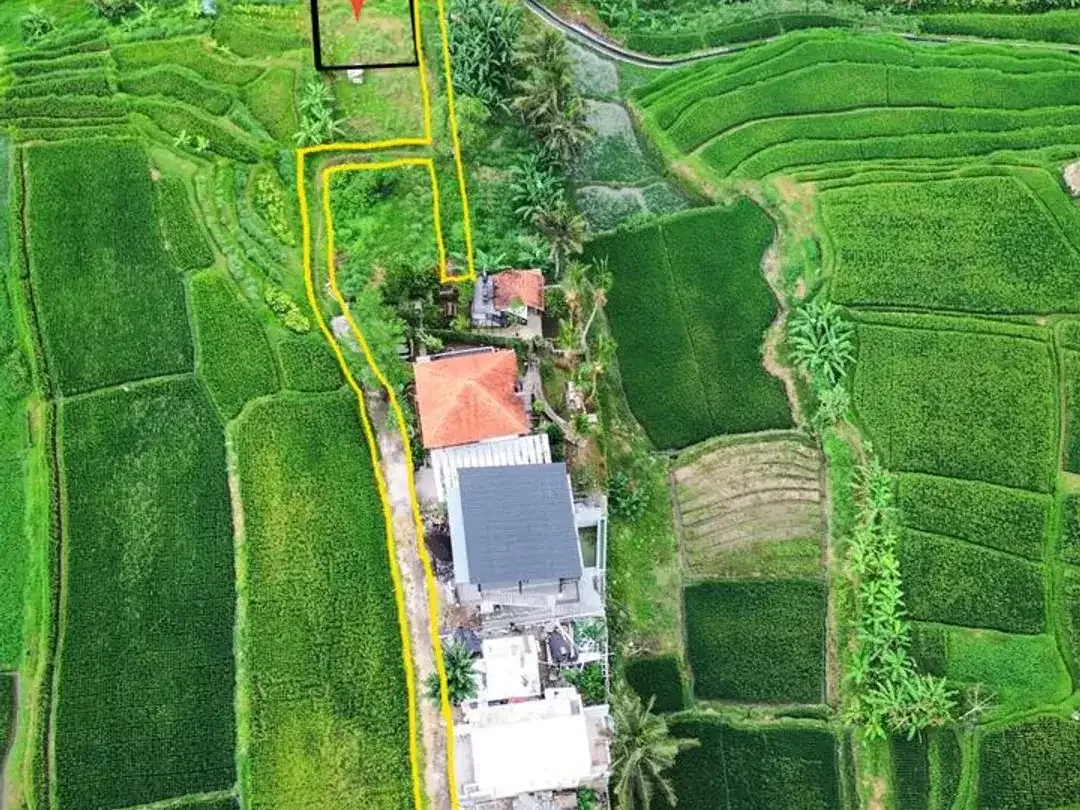 River Front Land For Sale Near Beji Waterfall - Image 2 of 10