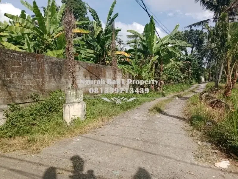 Tanah Murah Disewakan Luas 700 m2 Kawasan Villa di Ubud - Image 4 of 4