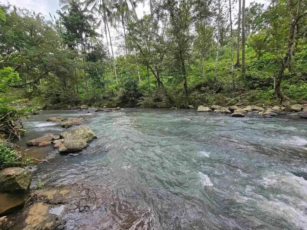 Dijual tanah dengan air terjun dan sungai bebatuan di bali - Image 3 of 10