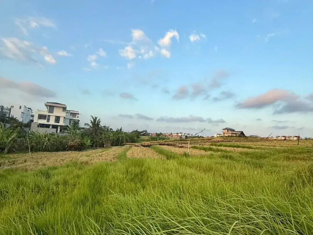 TANAH PREMIUM DI CEMAGI MENGWI BADUNG DEKAT PANTAI - Image 7 of 10