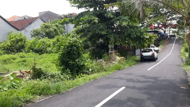 jual Tanah Strategis Murah 50mt dari Bypass Tabanan - Image 3 of 5