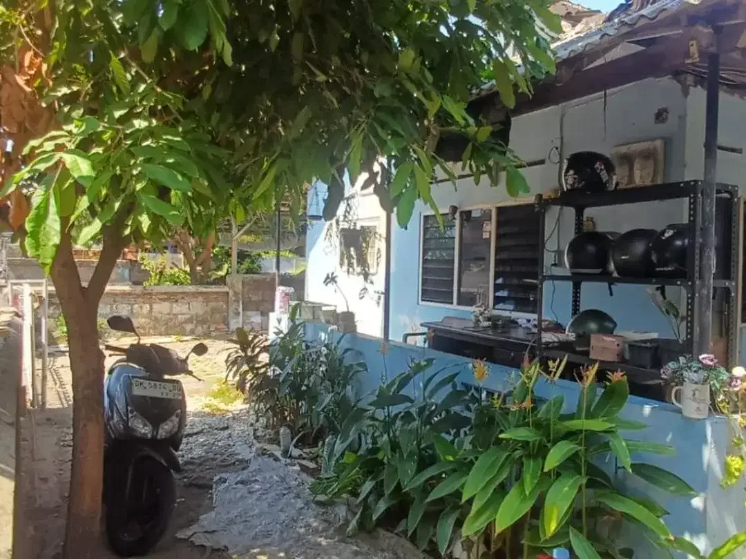 Dijual tanah + bangunan Lokasi waturenggonh panjer  Denpasar Selatan - Image 4 of 5