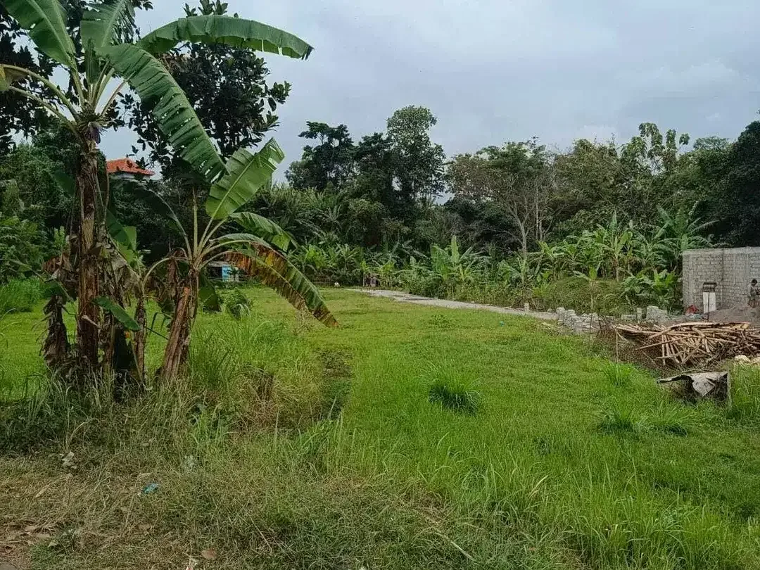 Land for sale in Kediri, Bali - Image 9 of 10