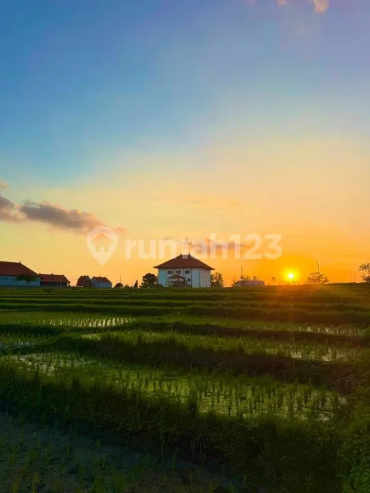 1 BR Villa For Rent - Image 3 of 4