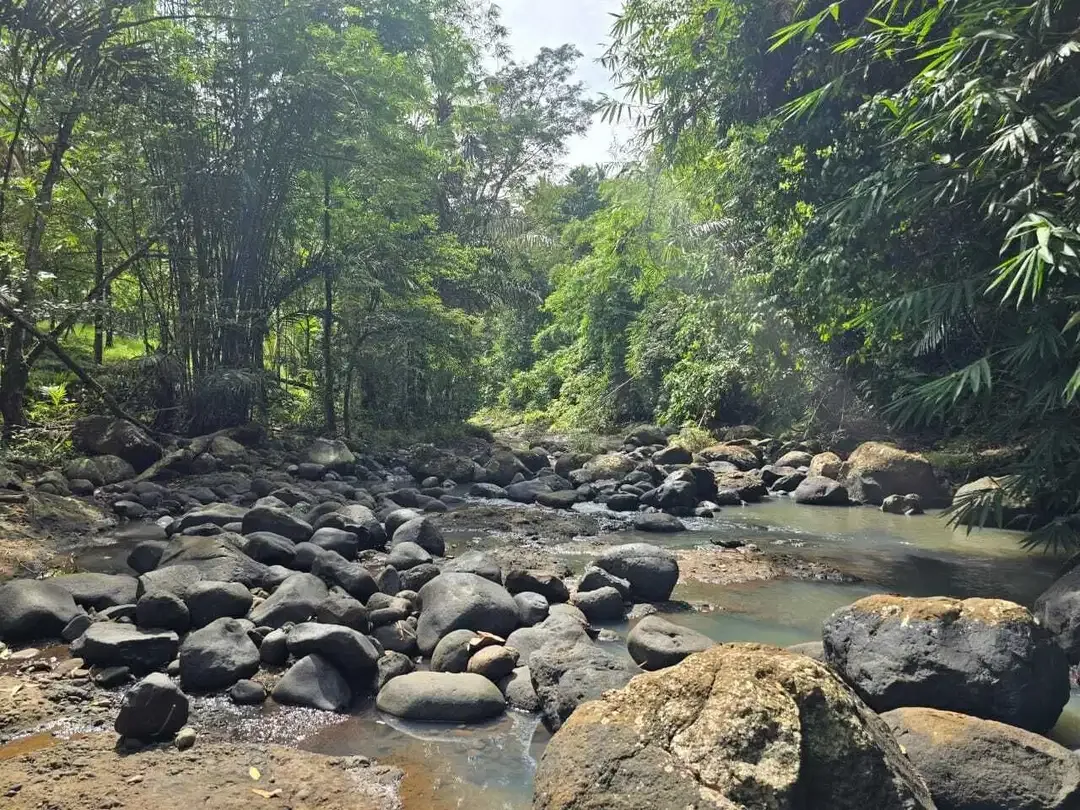 DIjual tanah dengan sungai bebatuan sangat cantik di tabanan bali - Image 3 of 10