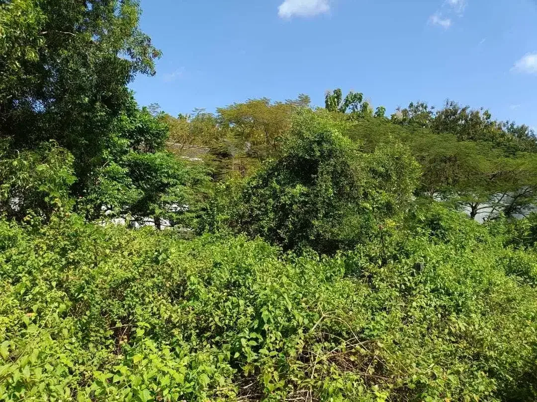 Dijual Tanah 275m2 di Jimbaran Regency Bali - Image 2 of 7