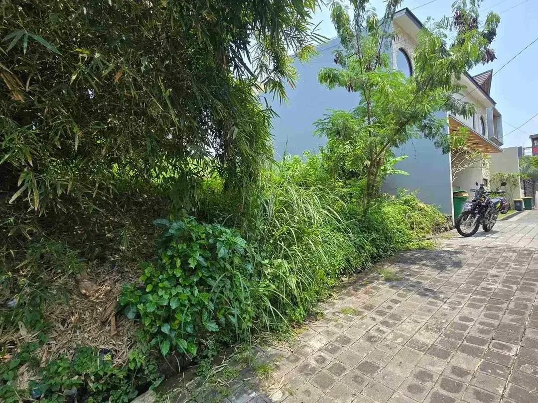 DIJUAL TANAH CANGGU PADANGLINJONG - Image 4 of 9