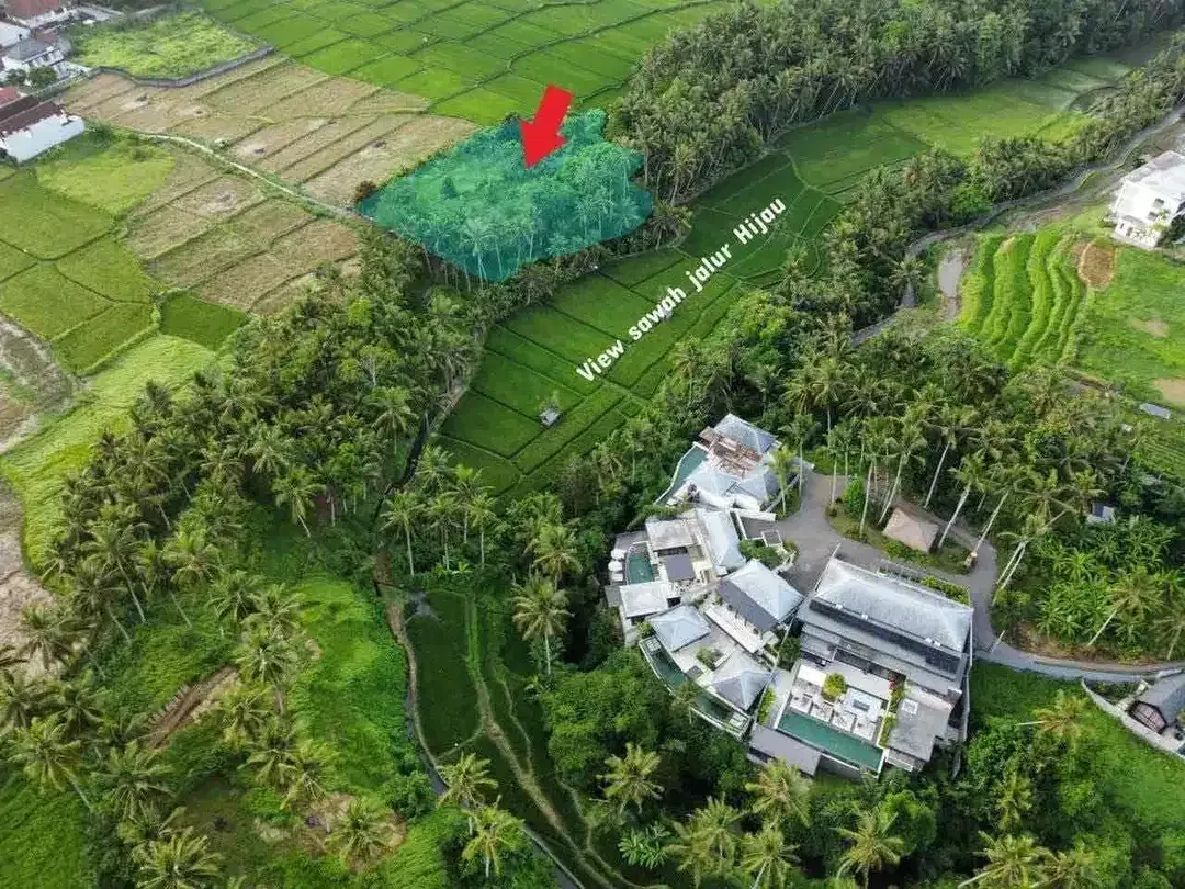 TANAH VIEW SAWAH DAN SUNGAI LOKASI LOT TUNDUH UBUD - Image 3 of 10
