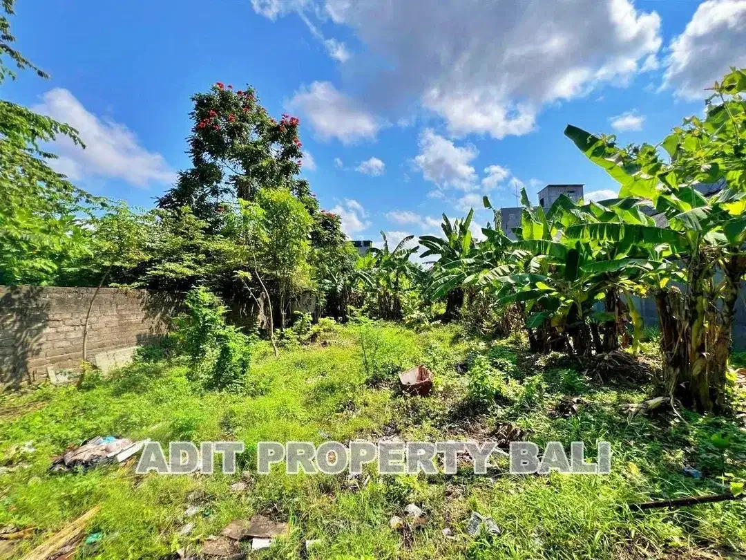 Tanah Pura Demak Denpasar Barat - Image 7 of 10