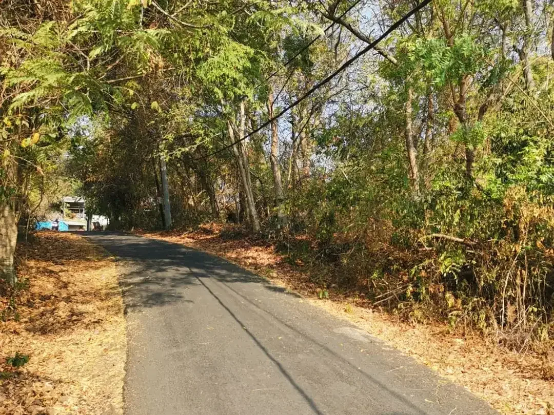DIJUAL TANAH STRATEGIS PINGGIR PANTAI DI BALI - Image 6 of 10