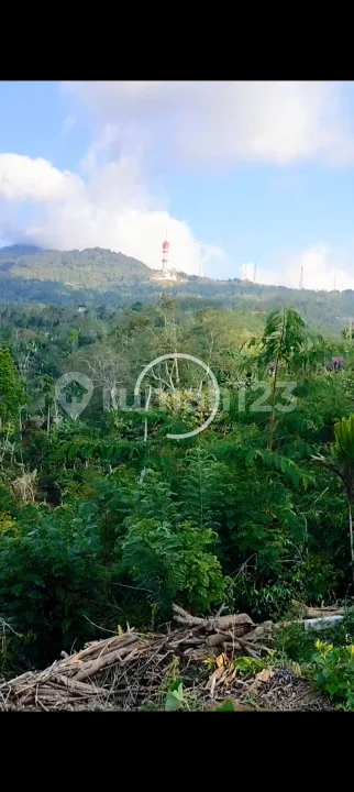 Tanah Kebun 1000MÂ² Sudah Diaspek View Bagus Gitgit Buleleng Bali - Image 1 of 4