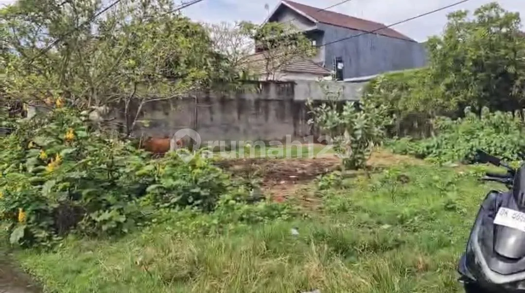 Dijual Cepat! Lahan Premium 245 M² Seminyak - SHM, Siap Bangun, Lokasi Strategis - Image 2 of 4