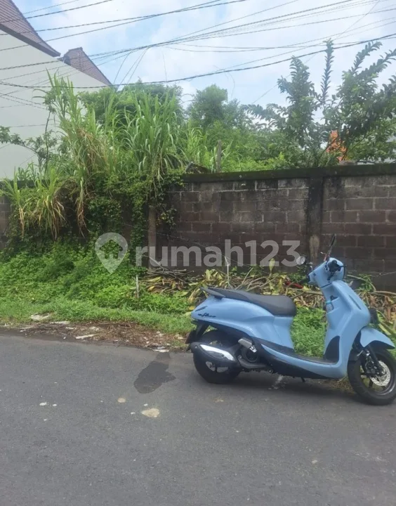 Tanah 4,5 Are di Tukad Badung Renon Dekat Panjer Sanur Barito - Image 4 of 4