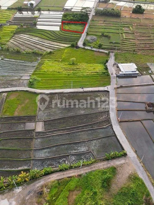 Tanah Jual Lokasi Nyanyi - Image 1 of 4