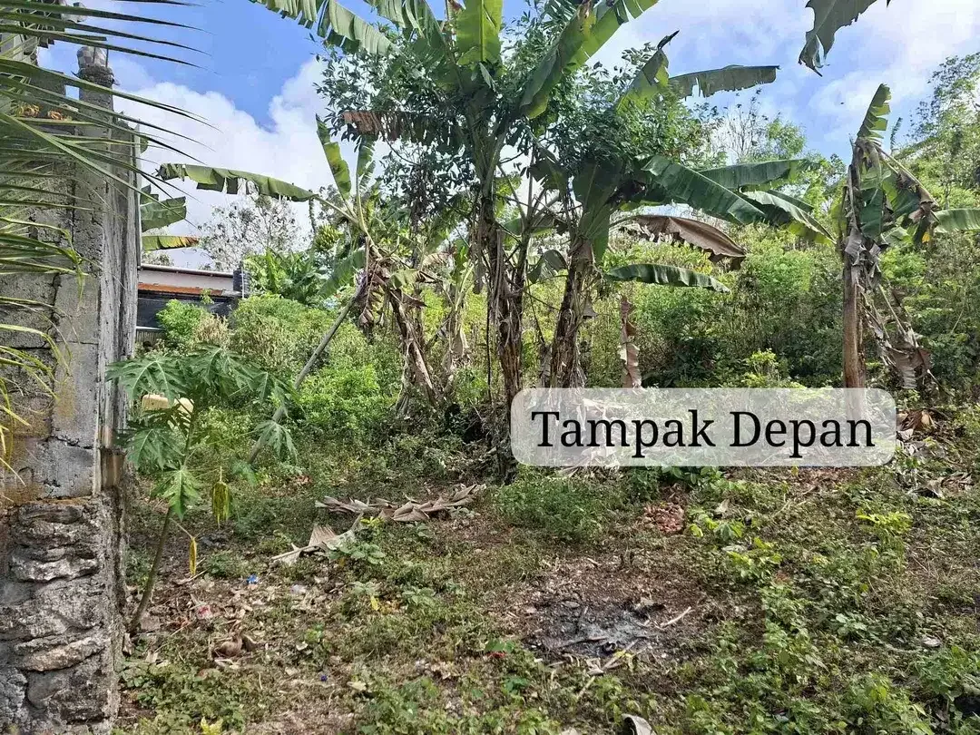Dijual cepat! (BUC) Taman giri Nusa dua - Bali - Image 6 of 6