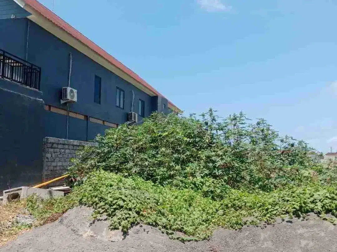 Di jual tanah jalan Tukad Badung , Renon, Denpasar, Bali - Image 4 of 4