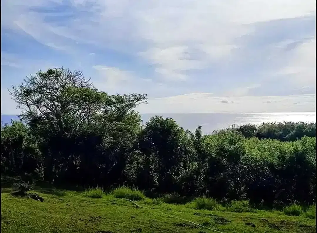 Tanah Ocean View Pecatu Uluwatu - Image 4 of 9