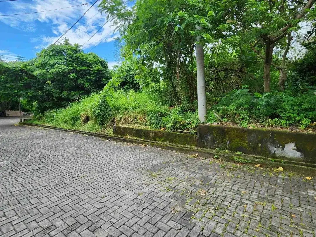 Tanah Komersial Luas Dekat Pantai Pererenan Canggu - Image 5 of 8