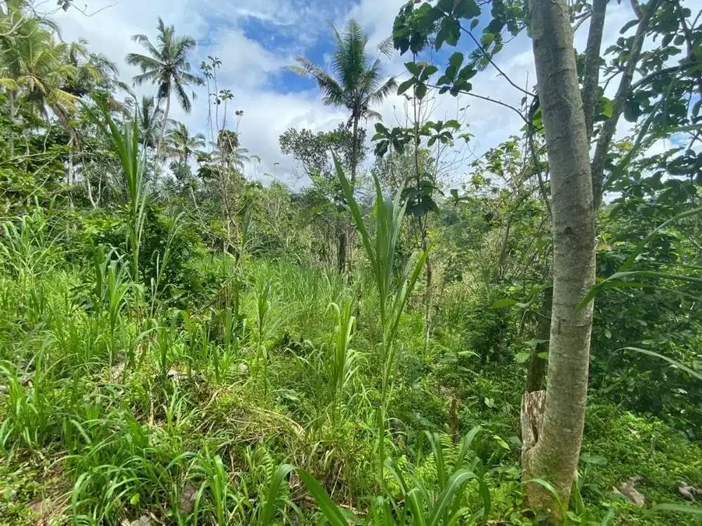 DIJUAL TANAH VIEW LEMBAH SUNGAI DI GIANYAR - Image 9 of 9