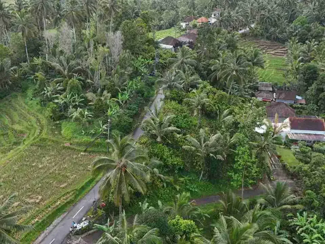 jual tanah luasan kecil view sawah area pemukiman di wanagiri selemadeg tabanan bali. - Image 5 of 10
