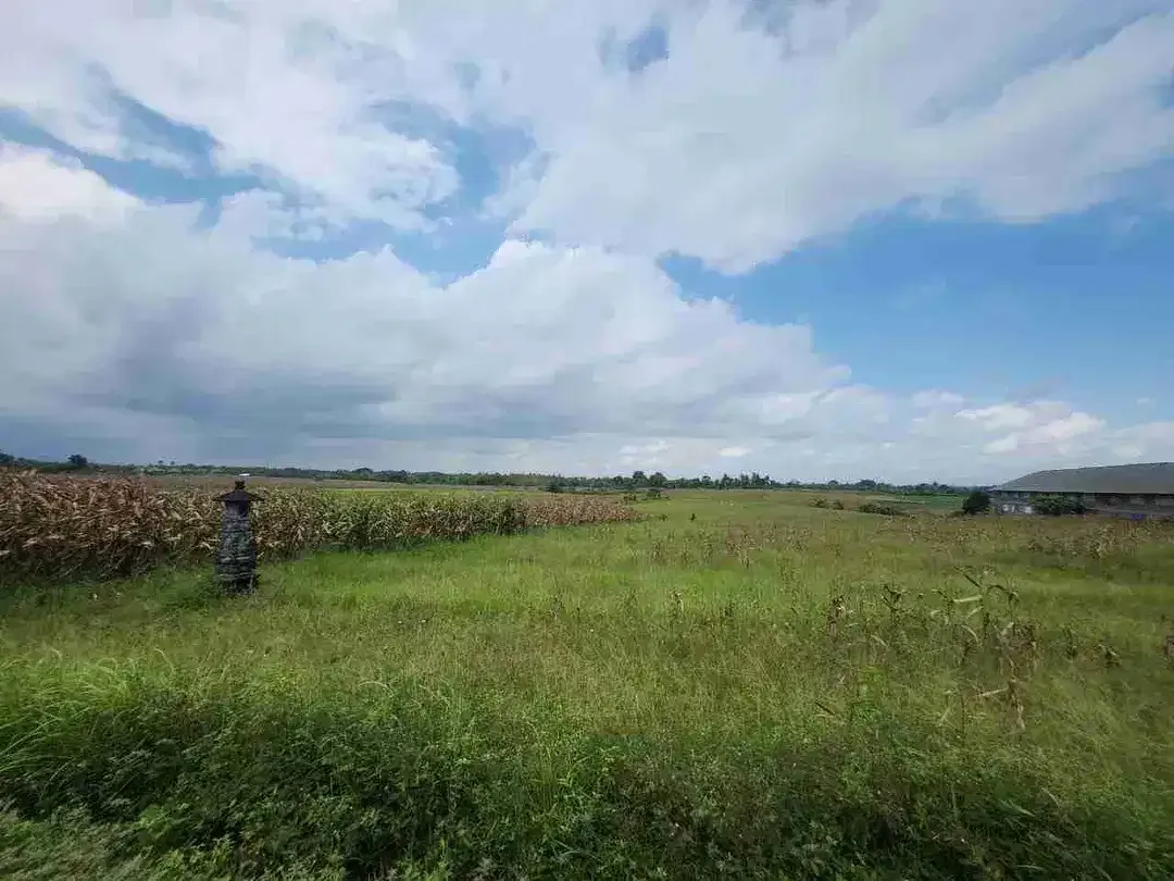 Tanah Langka Full View Sawah dan Laut di Kelecung Tabanan - Image 1 of 10