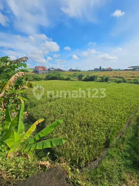 Di Jual Tanah Bebas Banjir di Tumbak Bayuh Cst087 - Image 3 of 4