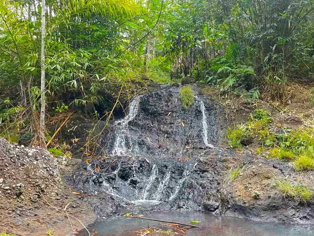 jual tanah Los sungai besar berbatu di desa wisata manikyang tabanan bali. - Image 10 of 10