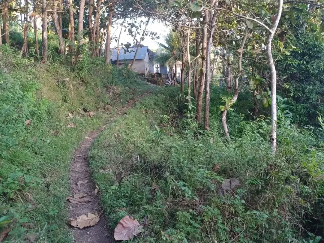 DIJUAL BU, SEBIDANG TANAH DI DESA KLUMPU, NUSA PENIDA BALI - Image 1 of 7