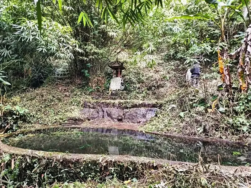 Dijual tanah murah los sungai dan view lembah dan bukit di bali - Image 7 of 10