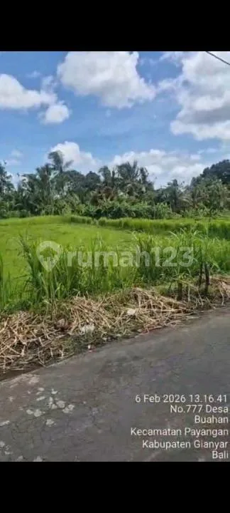 Jual Tanah di Payangan -Ubud - Image 2 of 4
