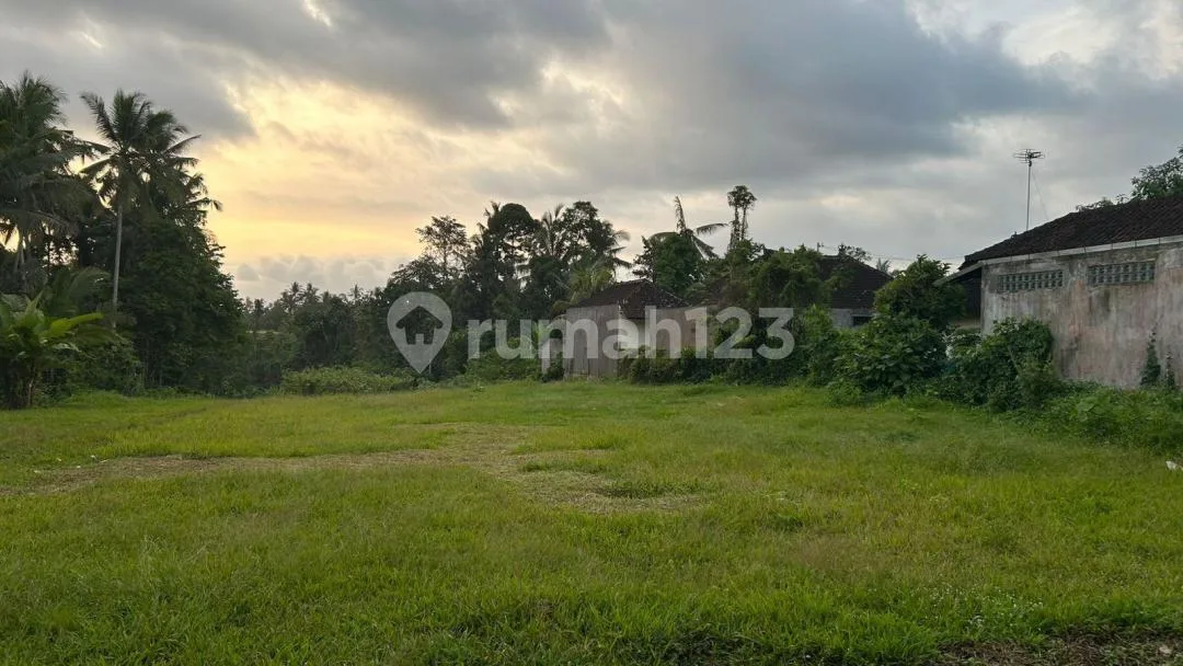 Tanah Jual Lokasi Kerambitan - Image 2 of 4