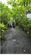 TANAH 2 ARE BONUS RUMAH DI KOMPLEK PERMATA BAWAH SILIGITA NUSA DUA - Image 3 of 7