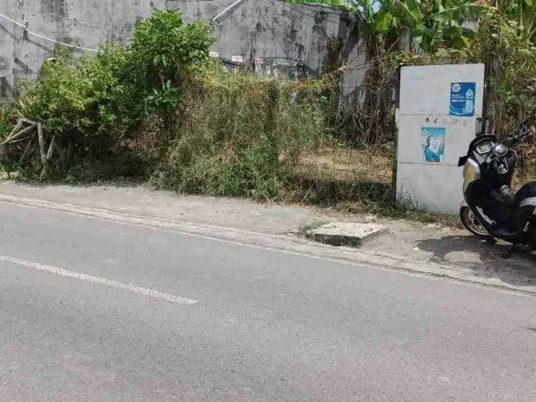 jual tanah 5,3 are dekat Atlas Canggu tibubeneng Bali - Image 3 of 4