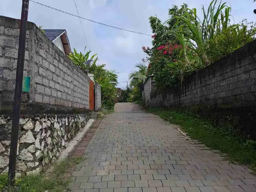 Tanah sewa 12 are Pink zone  Pecatu - Image 8 of 8