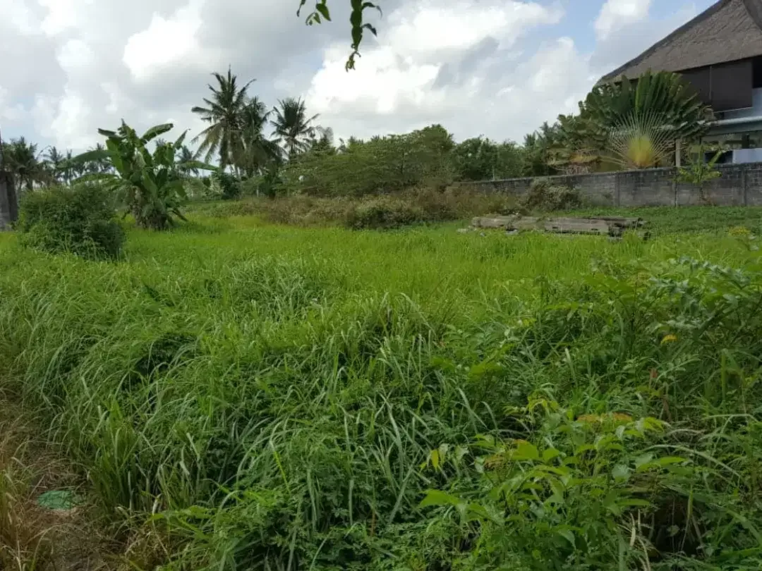 Freehold - Rare Land for Sale in Ubud - 2 Mins from Odette Ubud, Bali! - Image 6 of 7