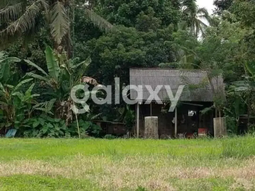 DIJUAL TANAH DAERAH PETANG BADUNG BALI - Image 4 of 9