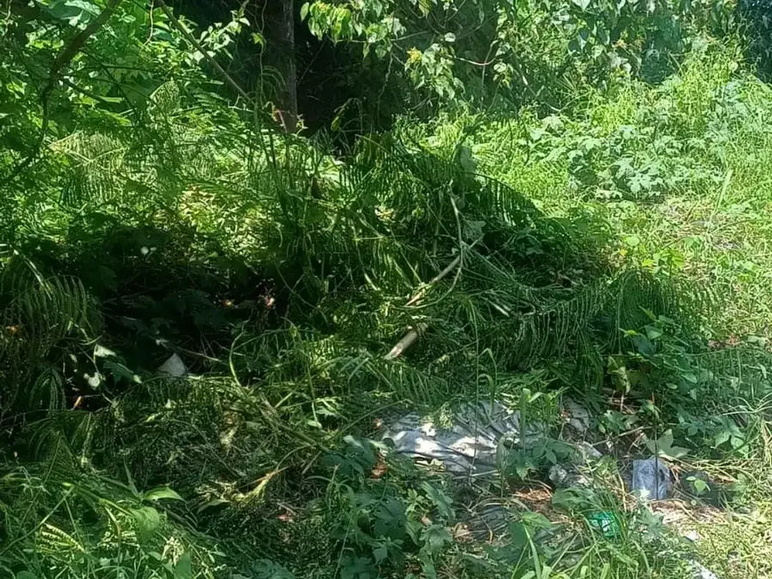 Di Jual Tanah View Sawah - Sempol, Pererenan - Image 3 of 6