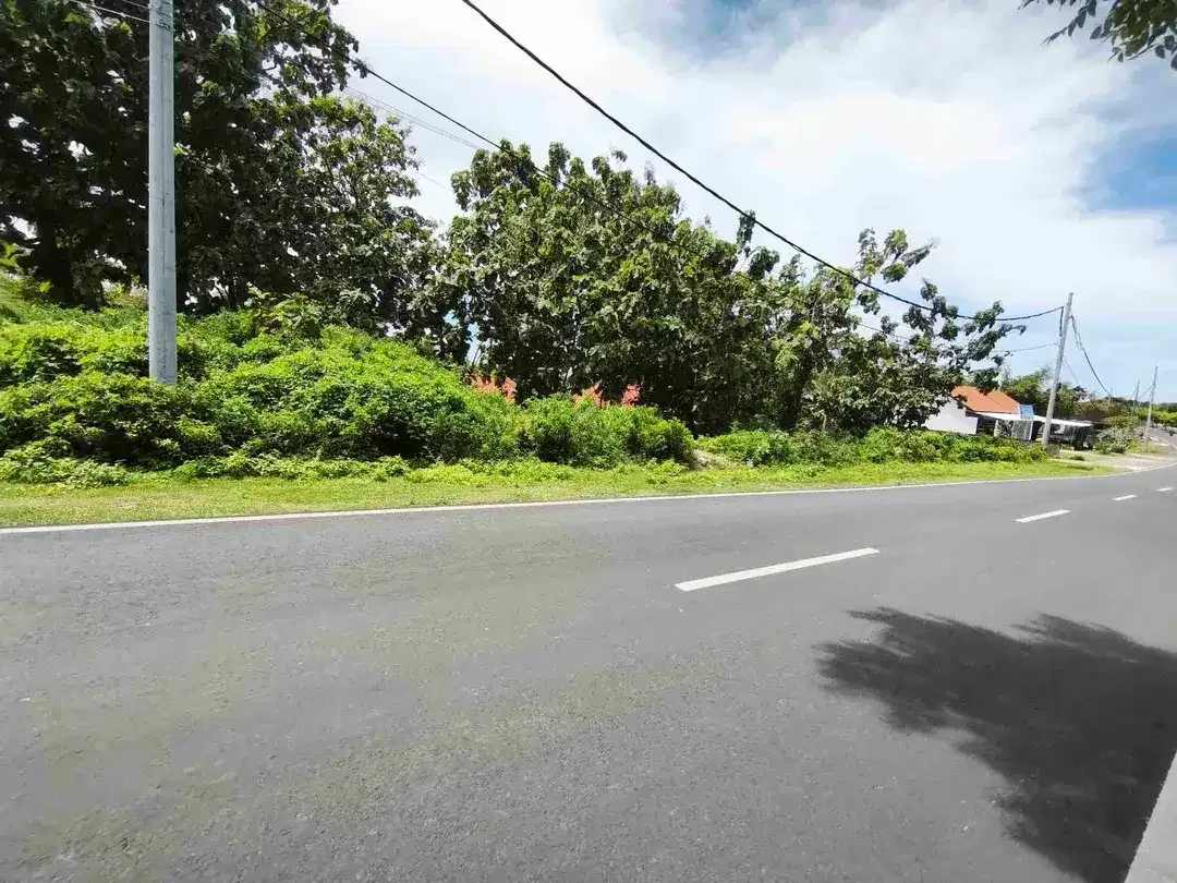 dijual tanah 2510m² IDR 850 juta per are jln Nusa dua selatan Kutuh Badung Bali - Image 4 of 10