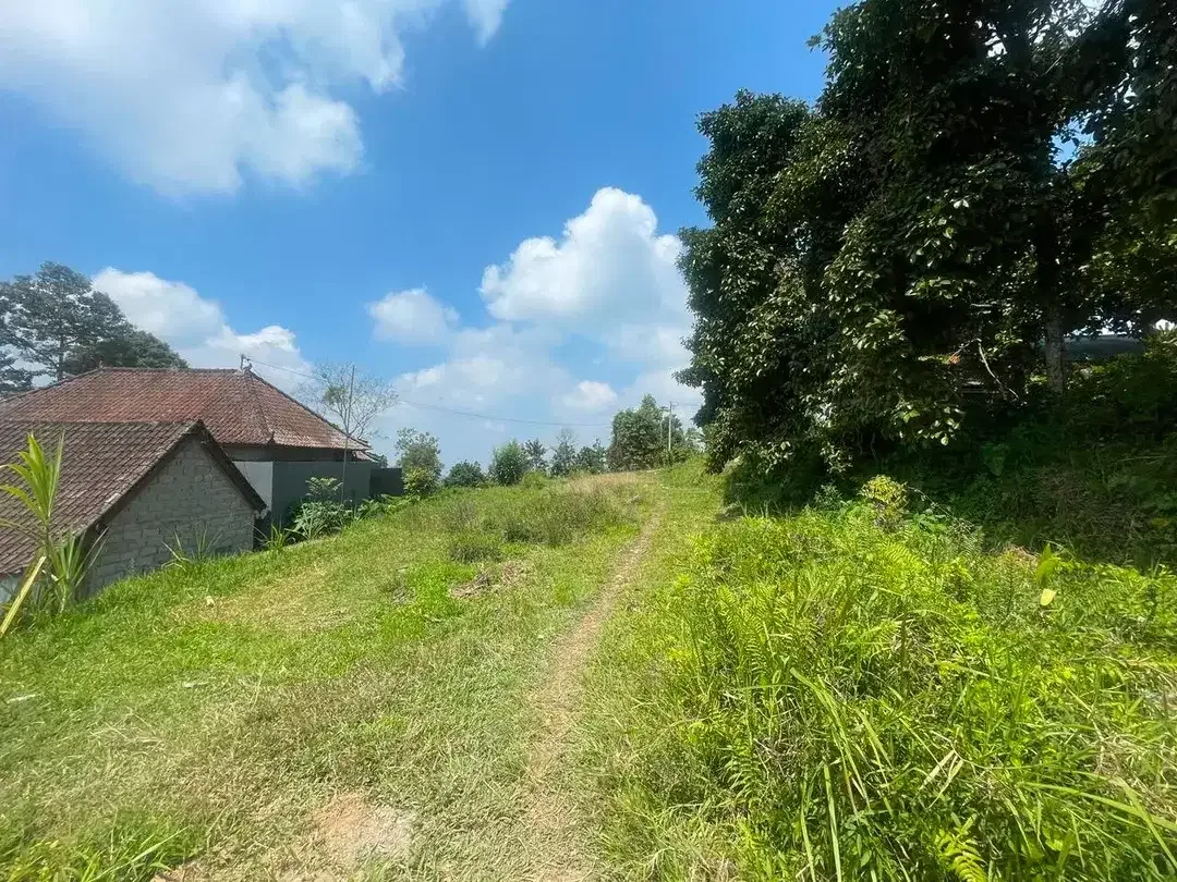 TANAH KOSONG DI BATURITI TABANAN BALI DEKAT STASIUN RADIO - Image 10 of 10