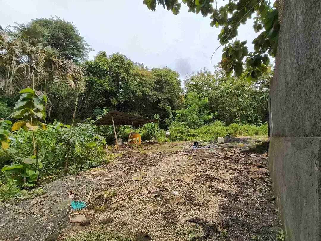 Tanah Zona Kuning dekat Sidewalk Jimbaran Bali - Image 3 of 3