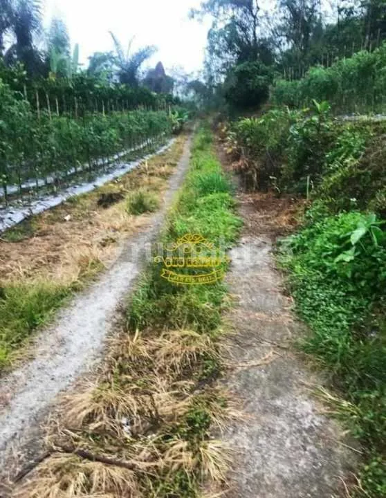 Tanah Jual Lokasi Belok Sidan - Image 3 of 3