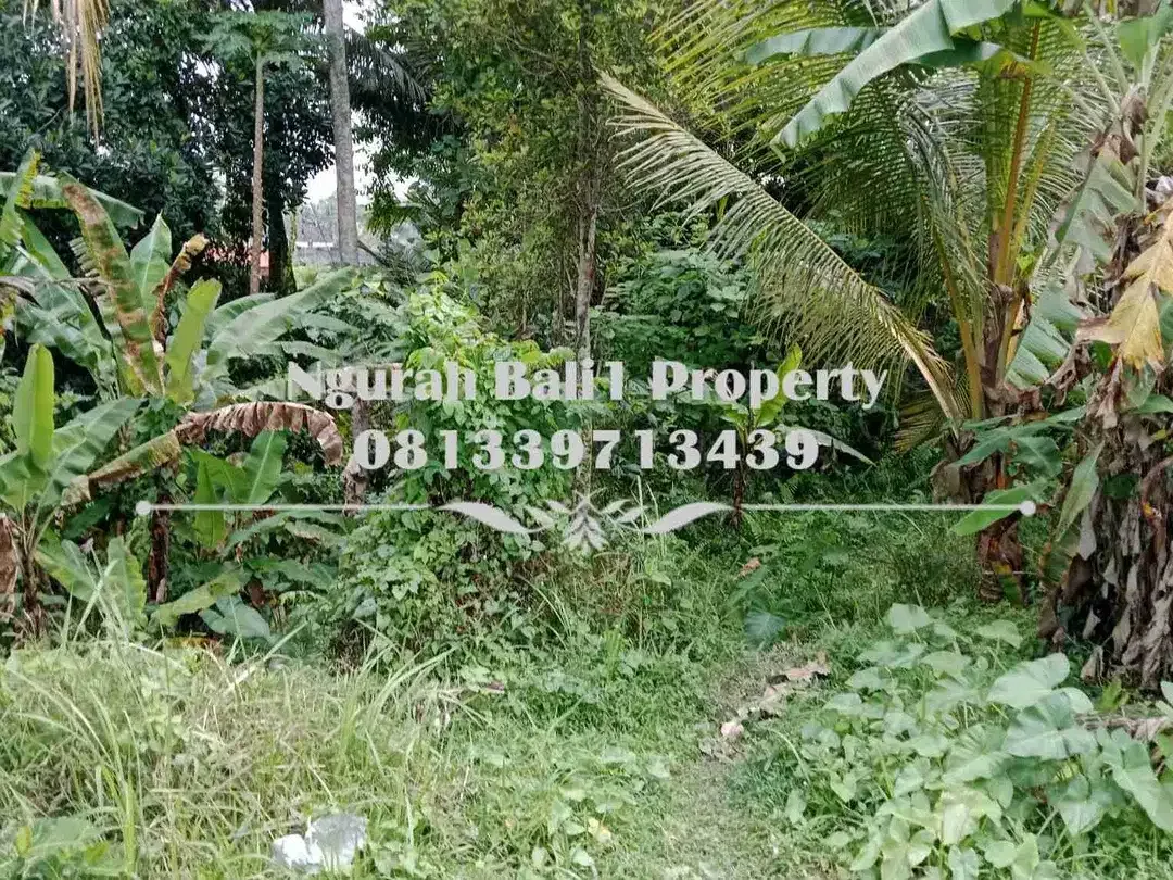 Dijual Tanah Murah Luas 645 m2 View Sawah dan Sungai di Ubud Pejeng - Image 5 of 7