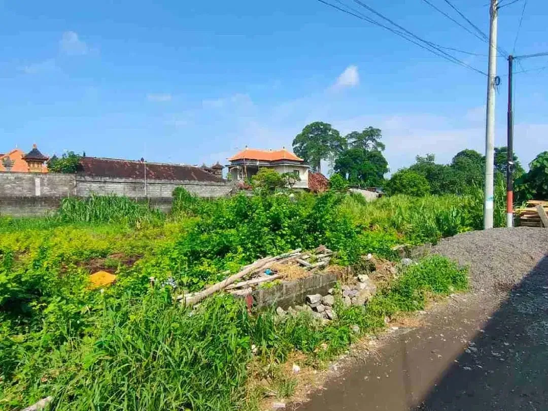 Di kontrakan tanah jalan Sesetan ,Denpasar, Bali - Image 4 of 4