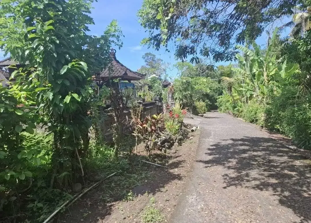 Dijual tanah dekat panta dengan sungai cantik di tabanan bali - Image 9 of 9