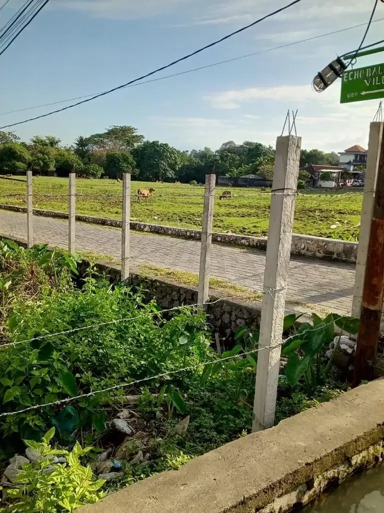 Dijual Tanah Dekat Pantai Jalan Utama Canggu - Image 5 of 8