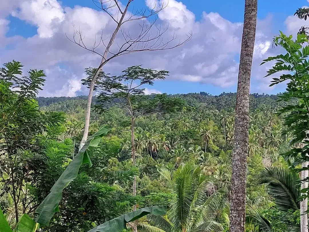 5.850 Sqm of Freehold Land for Sale with Beautiful Mountain View - Image 1 of 10