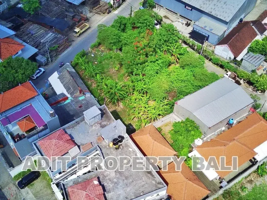 Tanah Pura Demak Denpasar Barat - Image 3 of 10