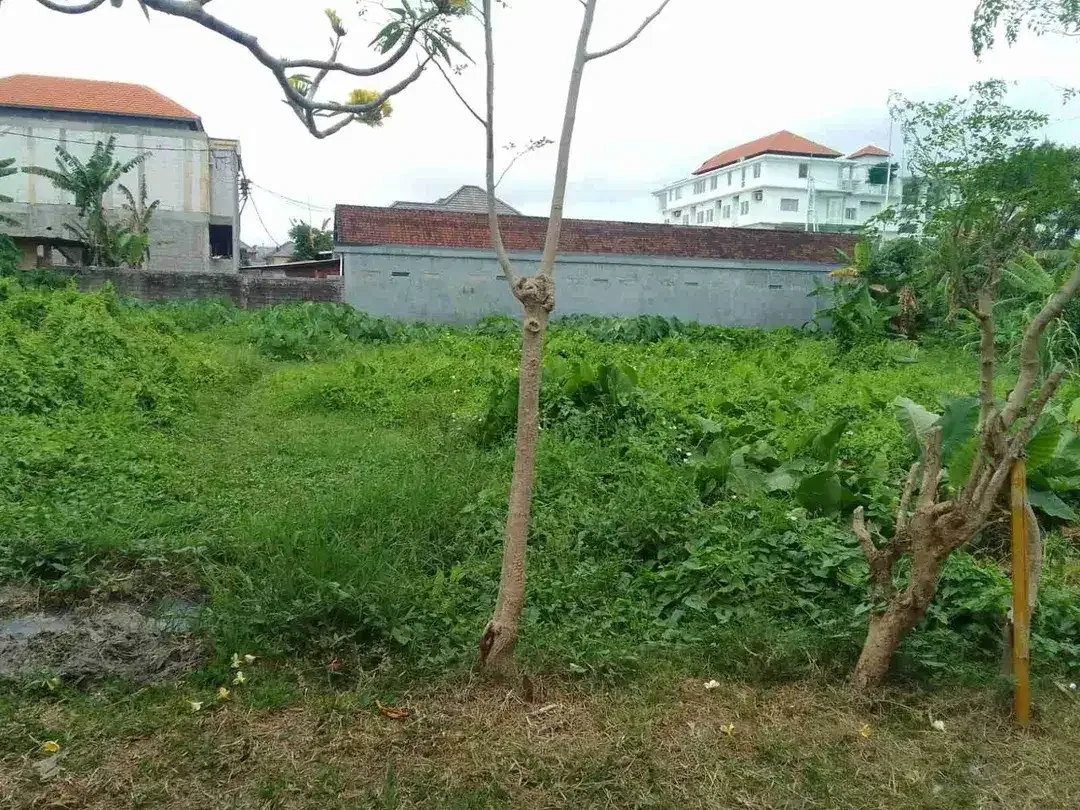 Dijual Tanah murah - Image 2 of 5