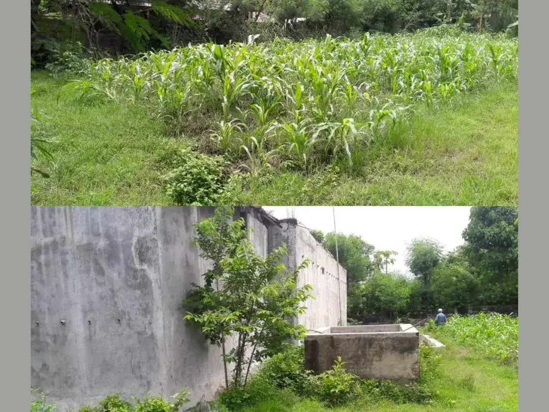 Dijual Tanah & Bangunan Sarang Walet di Sanggalangit, Singaraja, Bali - Image 2 of 4