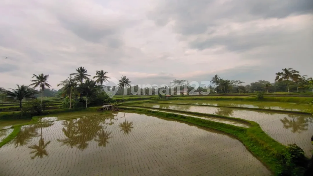 Villa Style Bali di Ubud View Cantik Gunung dan Sawah - Image 4 of 4